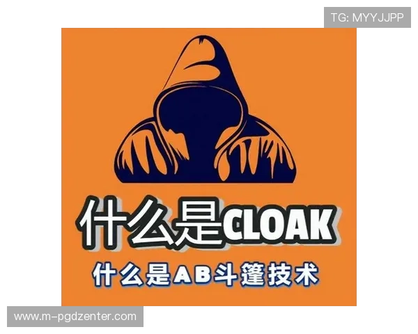 如何通过官方渠道安全访问pg官网登录网址，避免钓鱼网站风险